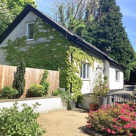 Y Bwthyn Apartamento Bangor  Exterior foto